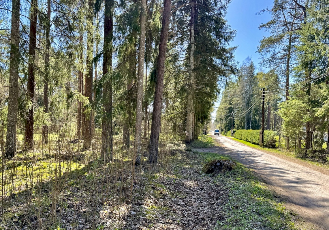 Lääne-Harju vald, Vasalemma alevik, Roosi 20