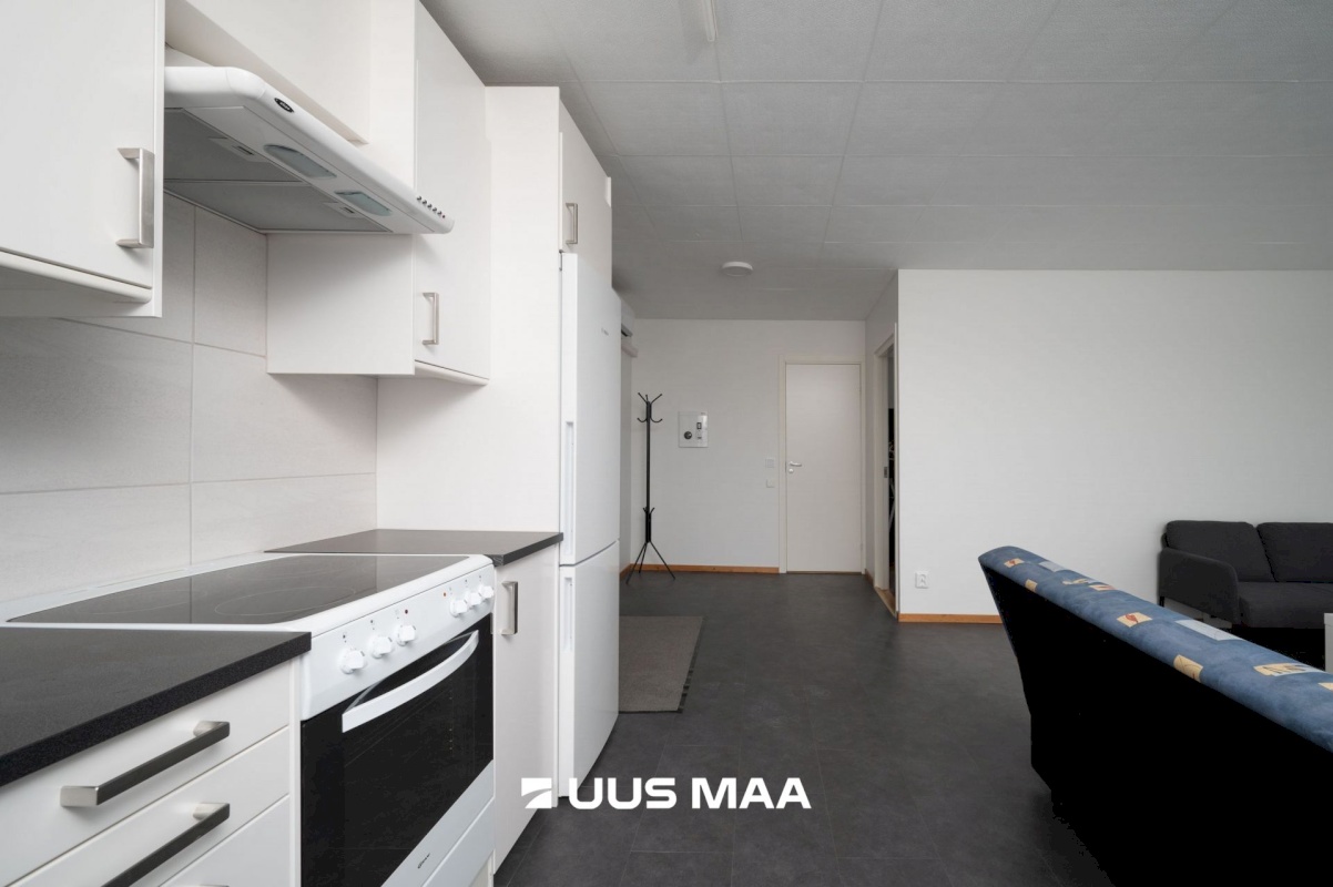 Lääne-Nigula vald, Palivere alevik, Põllu 8