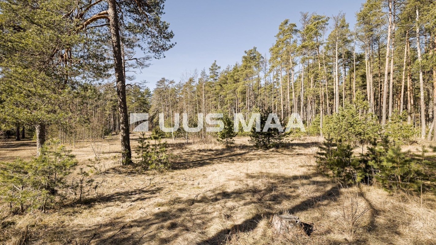 Tallinn, Nõmme linnaosa, Nõmme, Nelgi 64