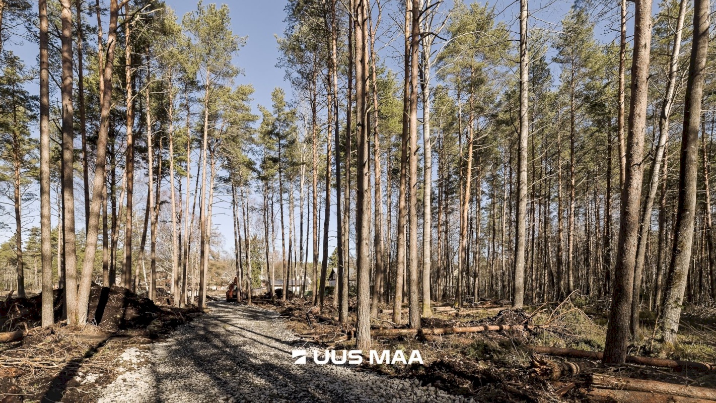 Tallinn, Nõmme linnaosa, Nõmme, Nelgi 64