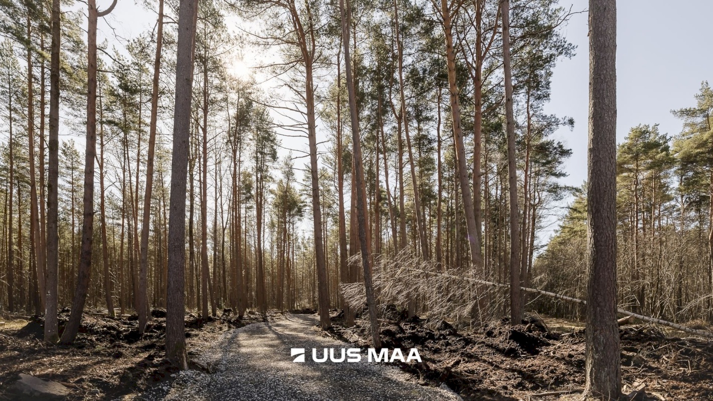 Tallinn, Nõmme linnaosa, Nõmme, Nelgi 64