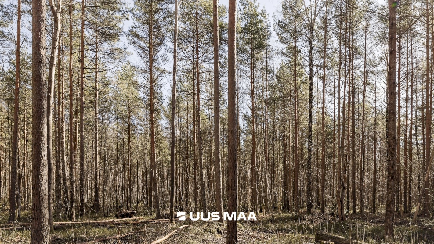 Tallinn, Nõmme linnaosa, Nõmme, Nelgi 64