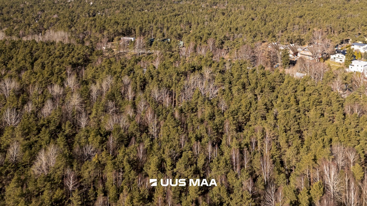 Tallinn, Nõmme linnaosa, Nõmme, Nelgi 64