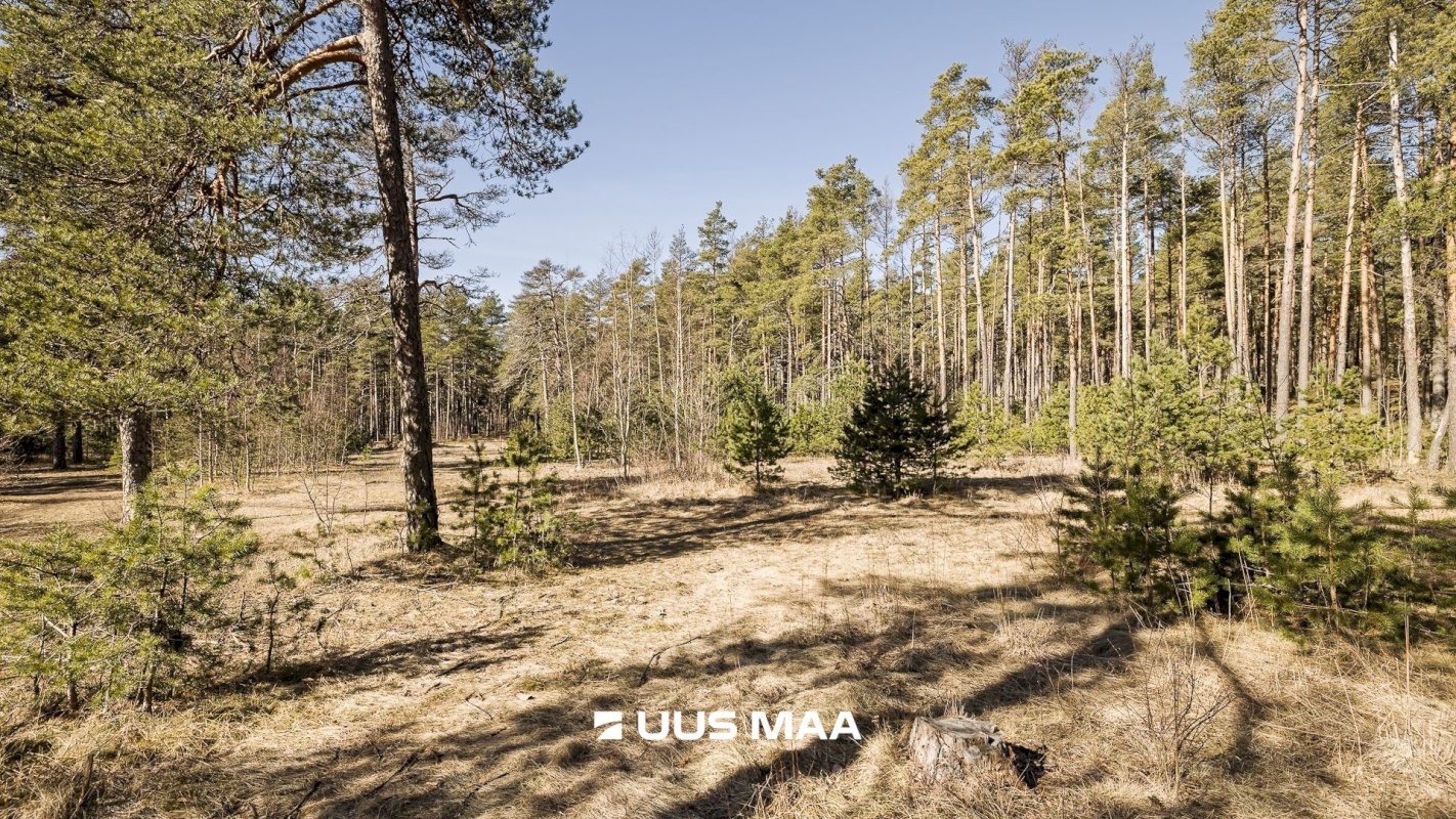 Tallinn, Nõmme linnaosa, Nõmme, Nelgi 64