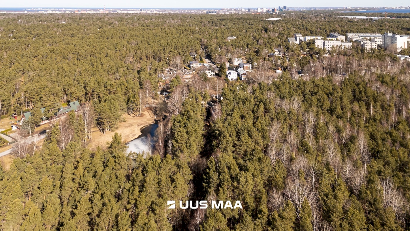 Tallinn, Nõmme linnaosa, Nõmme, Nelgi 64