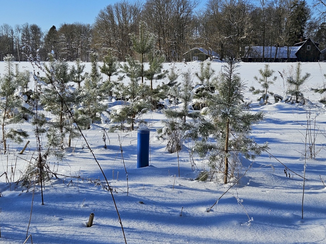 Haljala vald, Kavastu küla, Kaseurva