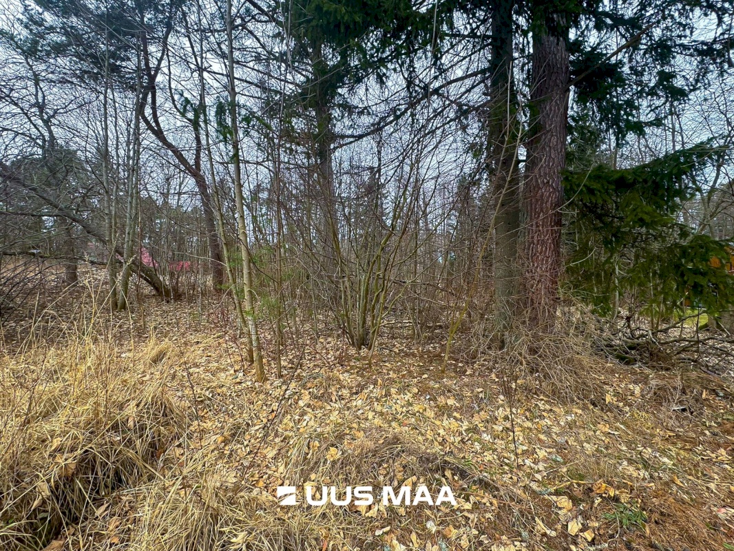 Lääne-Harju vald, Meremõisa küla, Merihobu tee 9