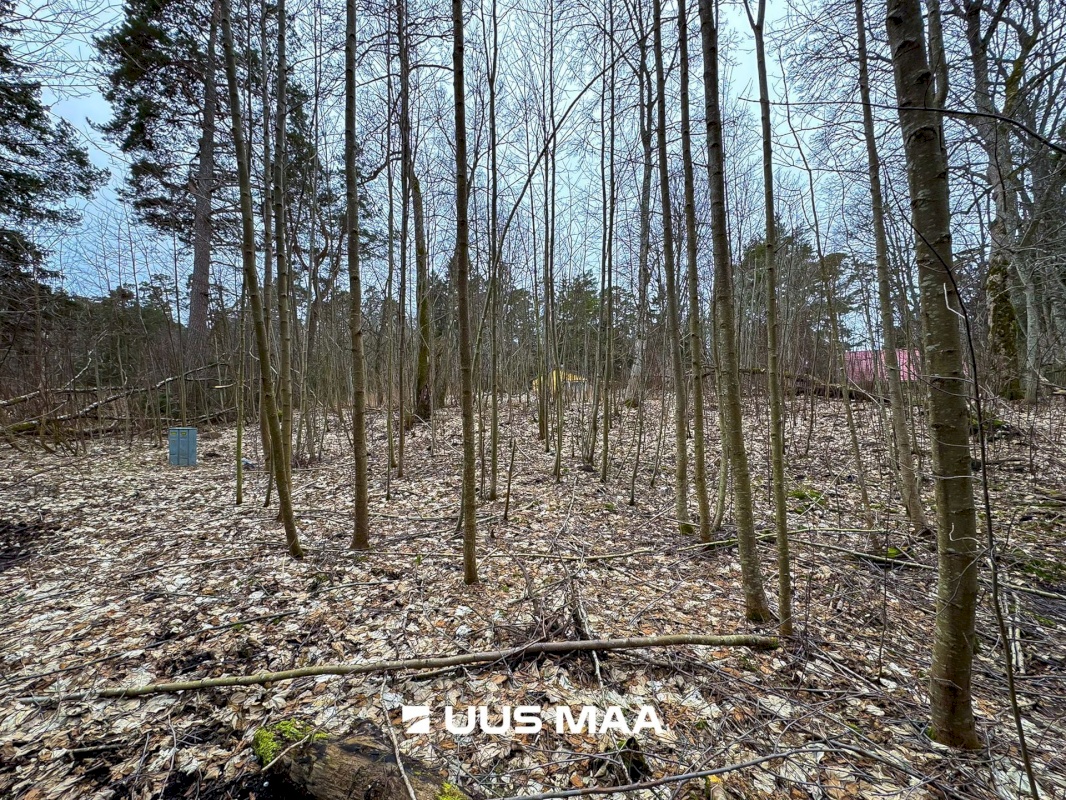 Lääne-Harju vald, Meremõisa küla, Merihobu tee 9