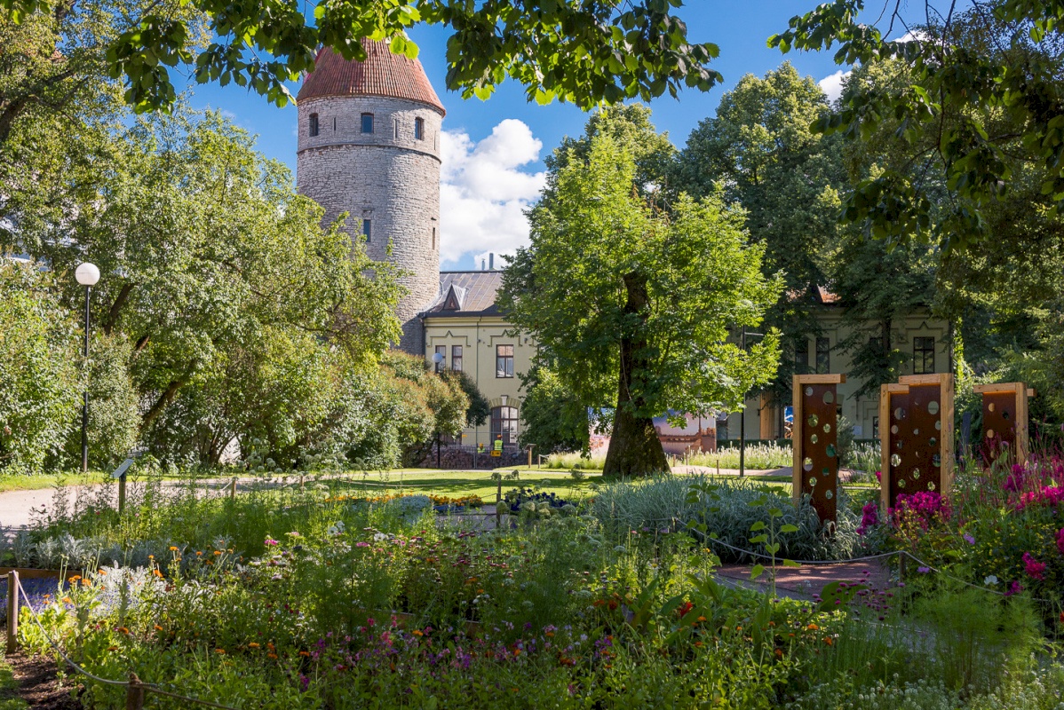 Tallinn, Kesklinna linnaosa, Vanalinn, Lai tn 13