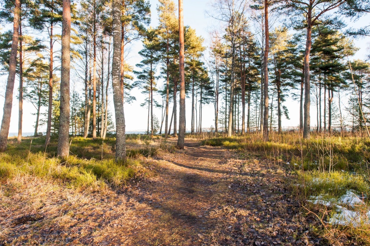 Tallinn, Haabersti linnaosa, Õismäe, Merirahu tn 4