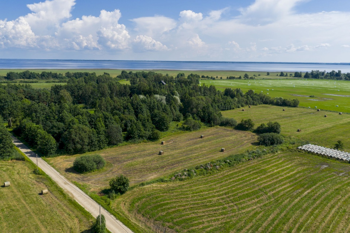 Haapsalu linn, Kiideva küla, Tänavaääre