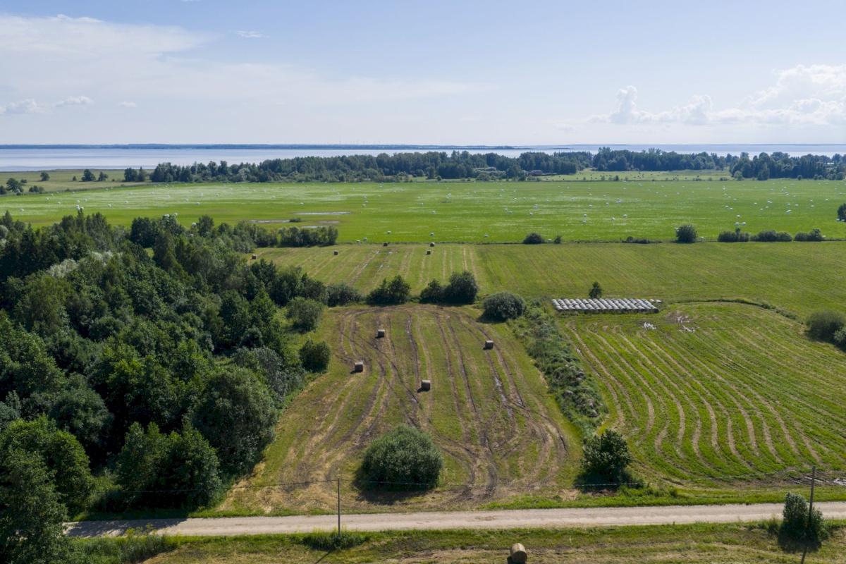 Haapsalu linn, Kiideva küla, Tänavaääre