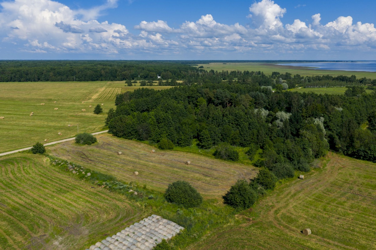 Haapsalu linn, Kiideva küla, Tänavaääre