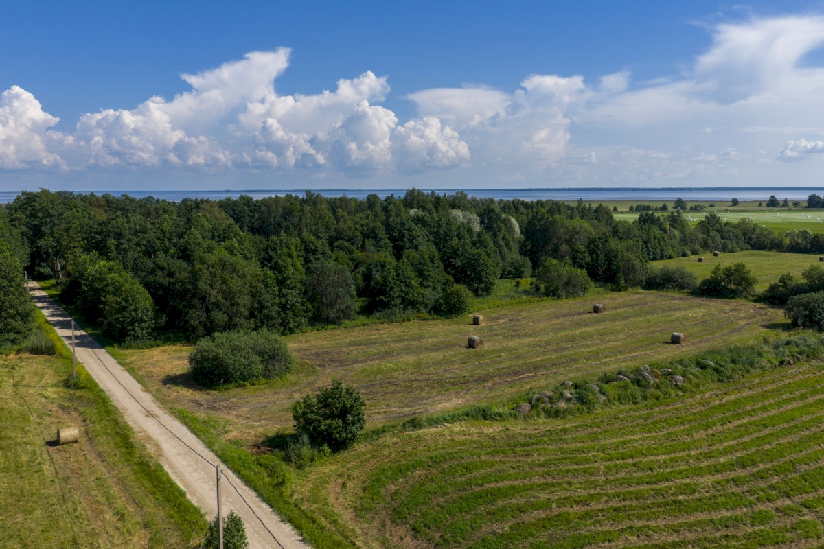 Haapsalu linn, Kiideva küla, Tänavaääre