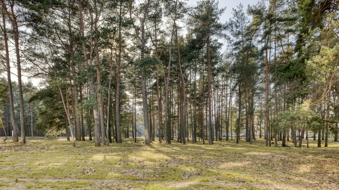 Tallinn, Mustamäe linnaosa, Sütiste tee 36