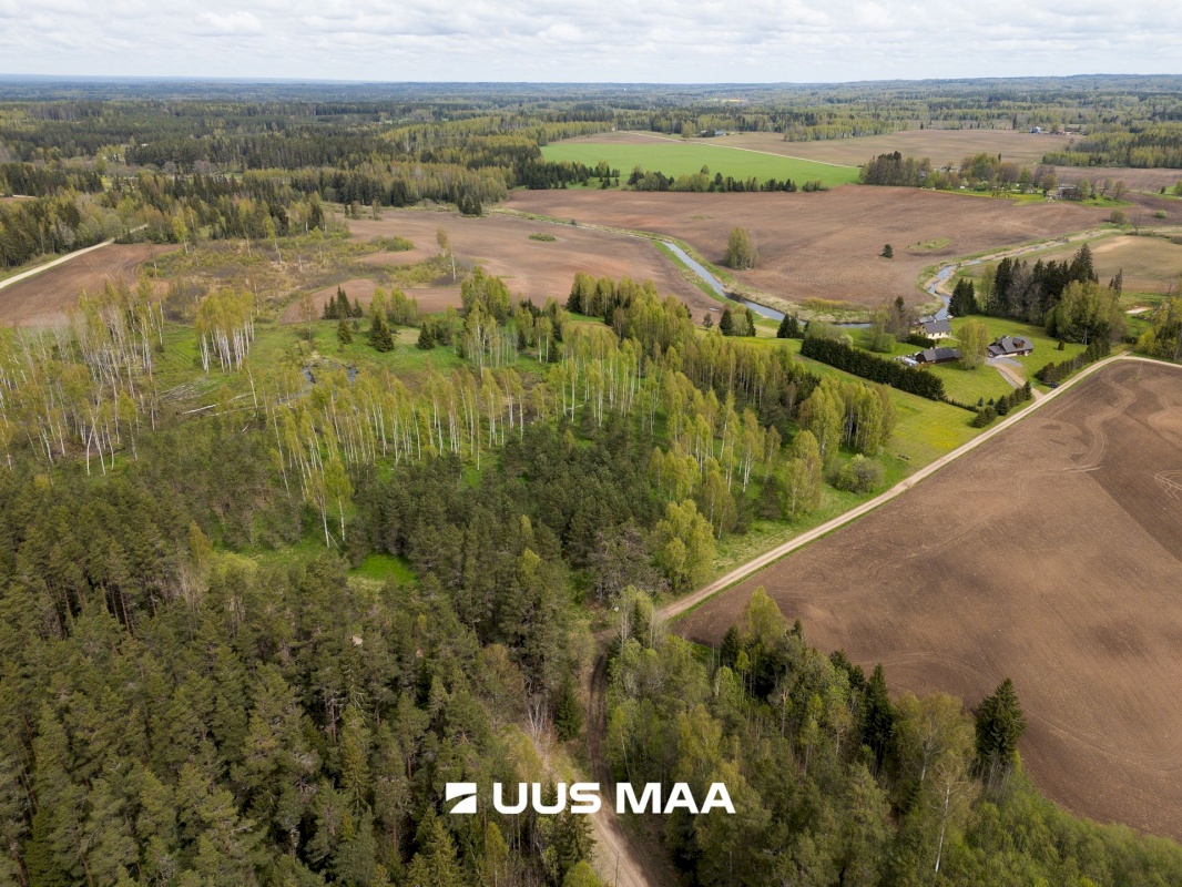 Rõuge vald, Kadõni küla