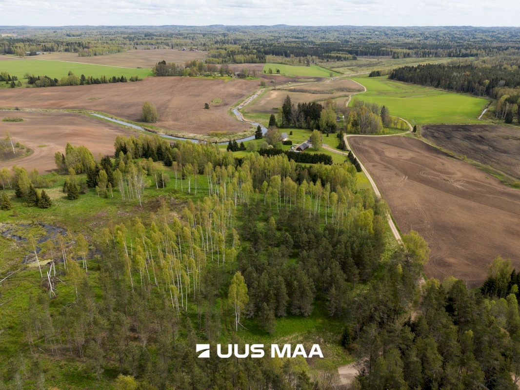 Rõuge vald, Kadõni küla