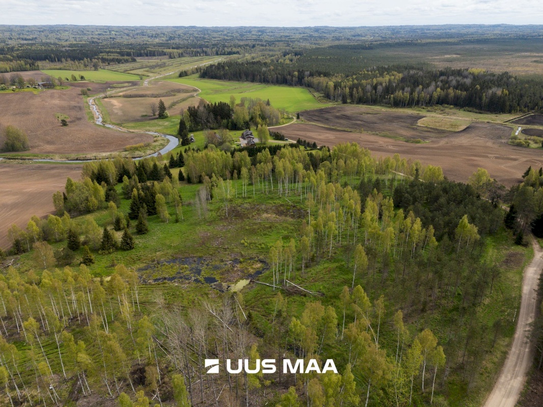 Rõuge vald, Kadõni küla