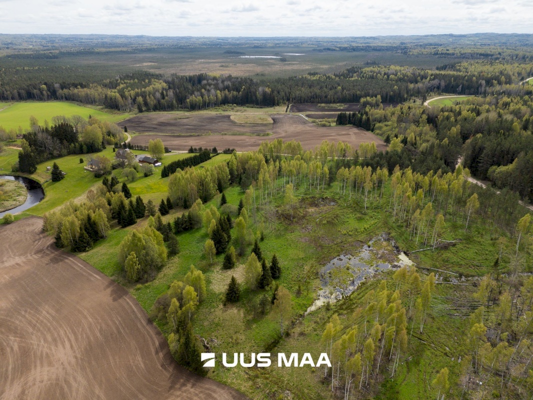 Rõuge vald, Kadõni küla