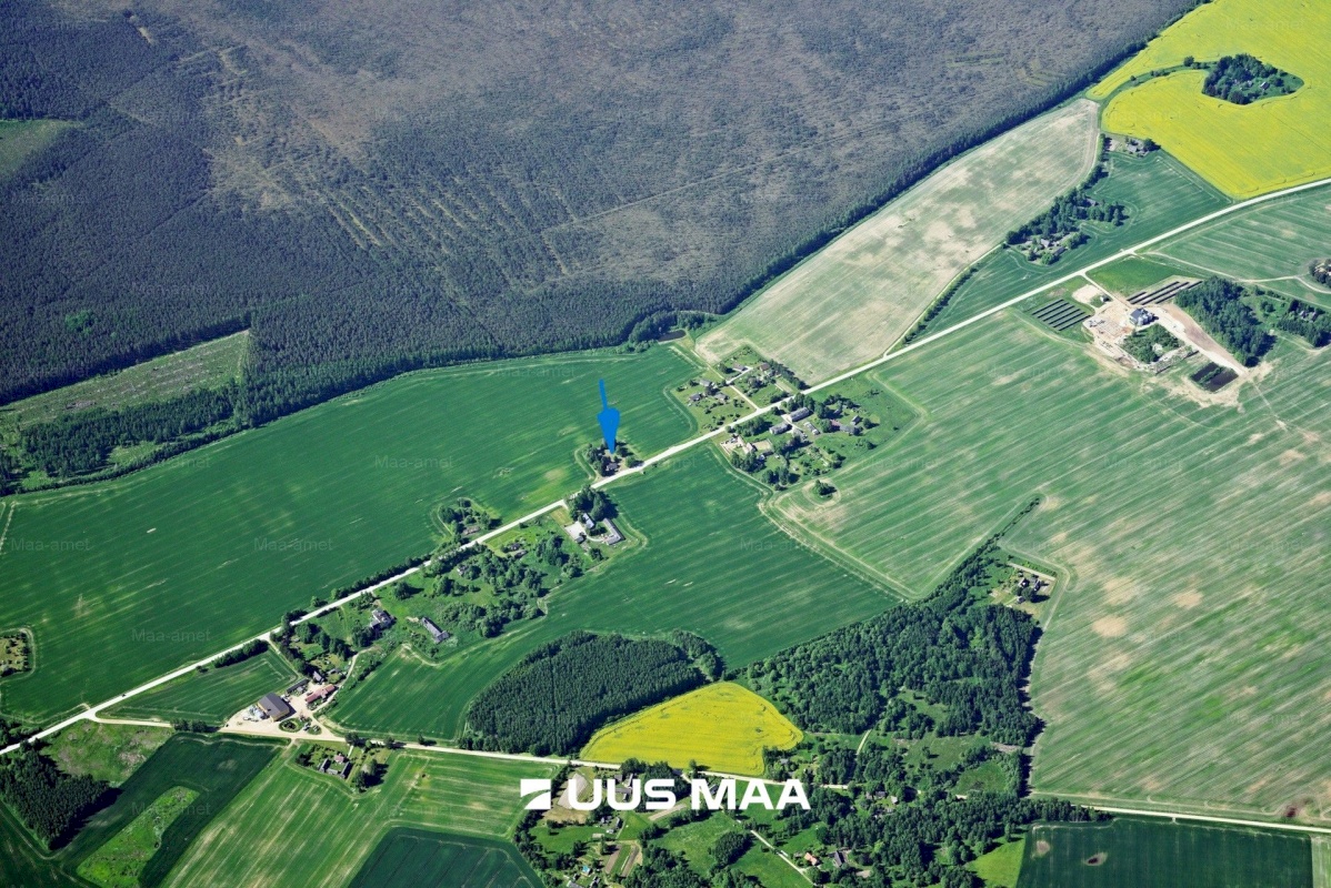 Räpina vald, Aravu küla, Sireli