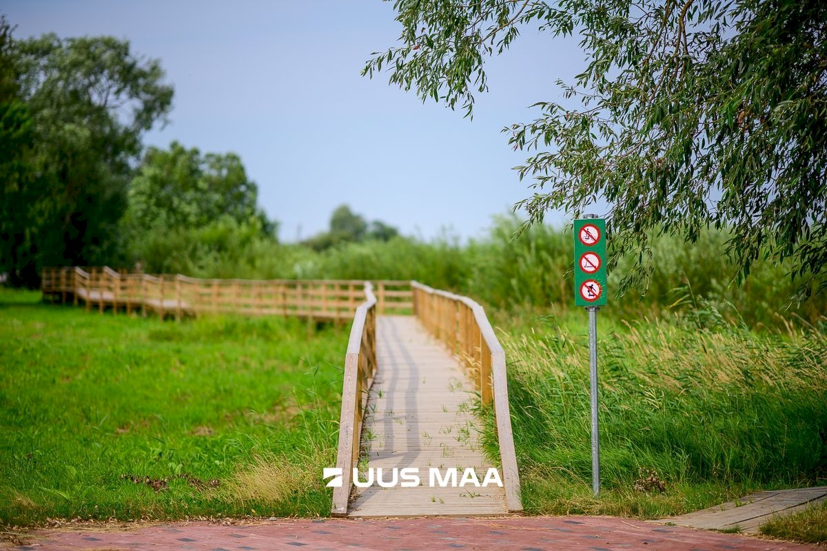 Räpina vald, Aravu küla, Sireli