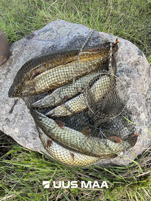 Saaremaa vald, Tagaranna küla, Anna-Kristiina