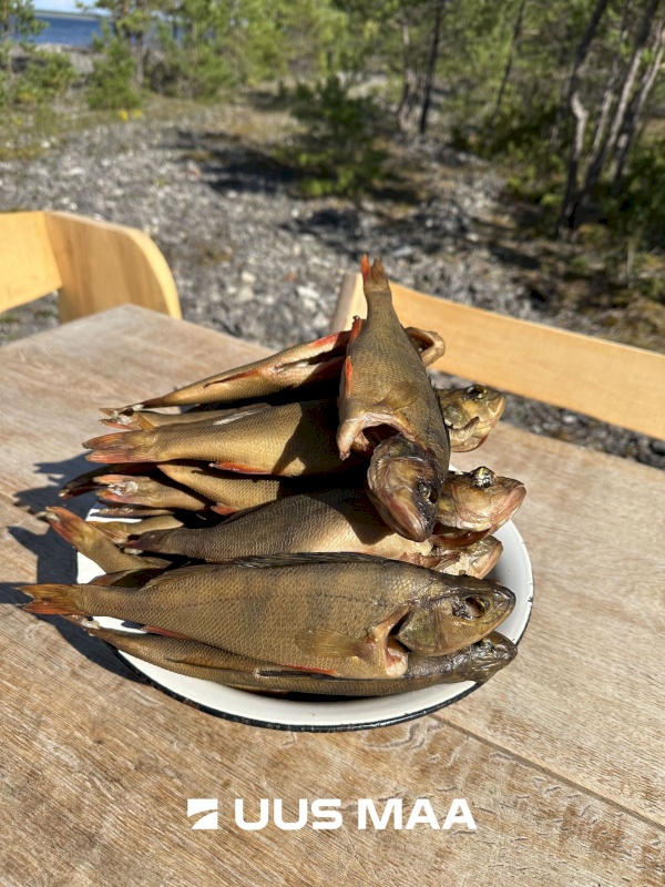 Saaremaa vald, Tagaranna küla, Anna-Kristiina