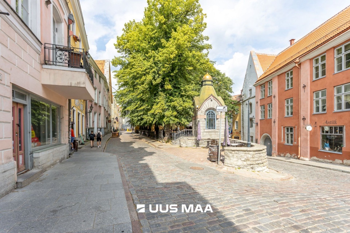 Tallinn, Kesklinna linnaosa, Vanalinna, Pikk tn 36