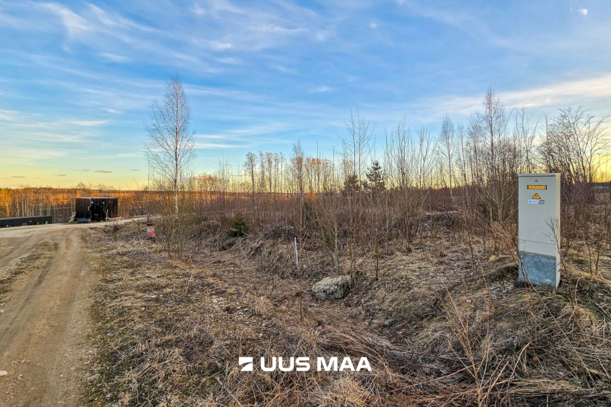 Viljandi vald, Peetrimõisa küla, Ilvese tee 12