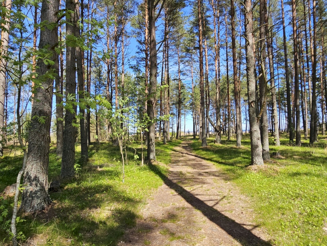 Haljala vald, Pihlaspea küla, Ranna