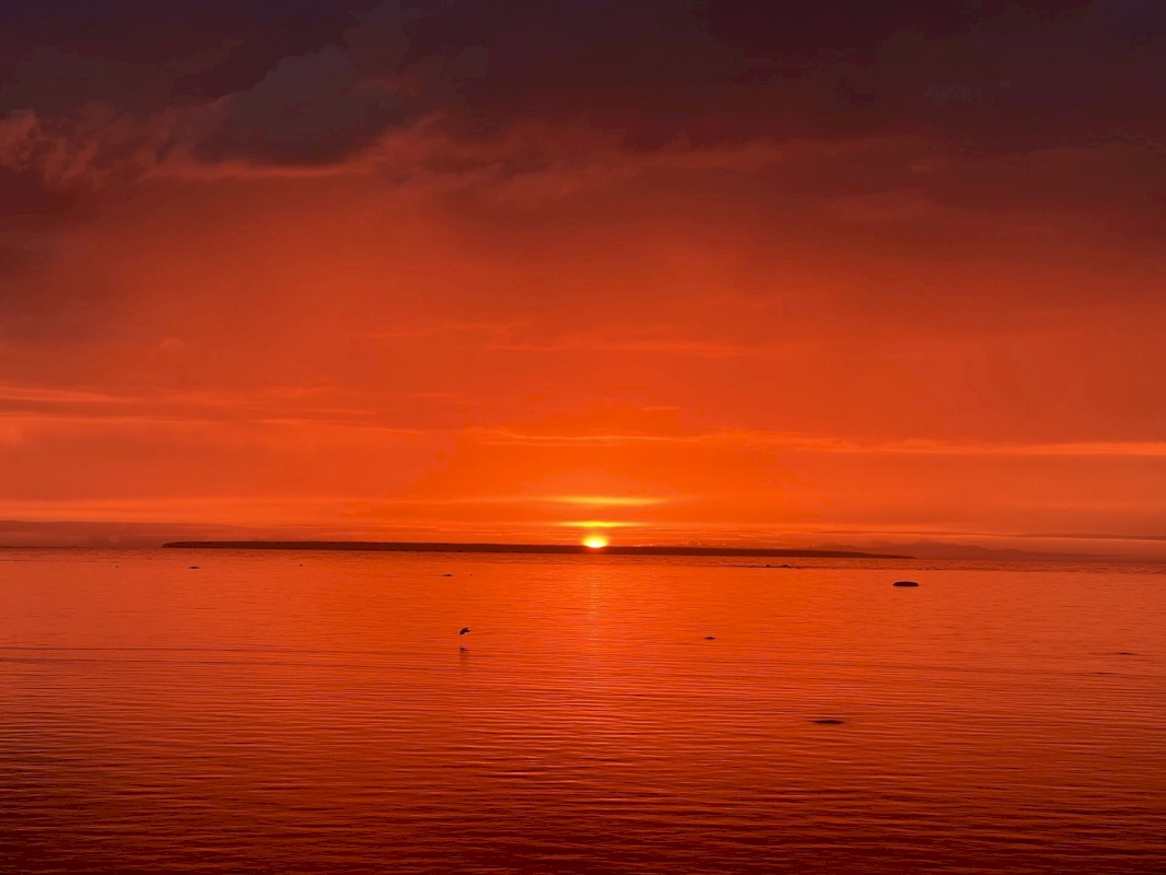 Tallinn, Põhja-Tallinna linnaosa, Sepa tn 28