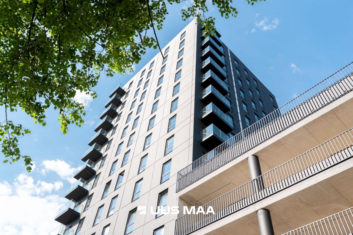 Tallinn, Haabersti linnaosa, Haabersti, Päevalille 4