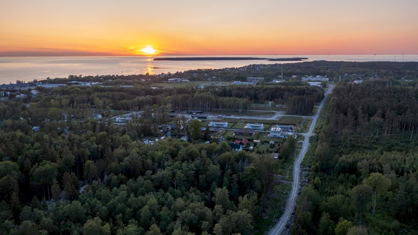 Viimsi vald, Pringi küla, Vaarika tee 10