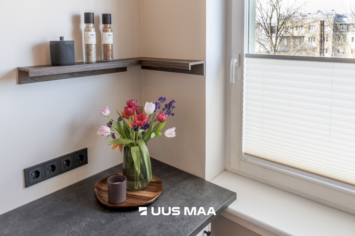 Tallinn, Kesklinna linnaosa, Uus Maailm, Endla 31