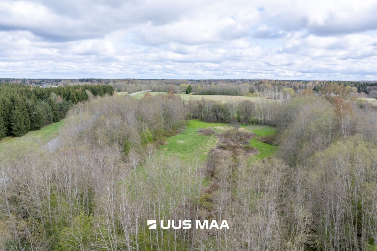 Anija vald, Kaunissaare küla, Nõmme