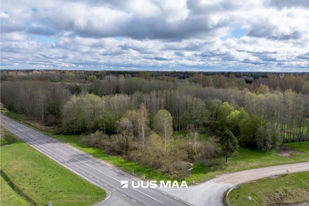 Anija vald, Kaunissaare küla, Nõmme