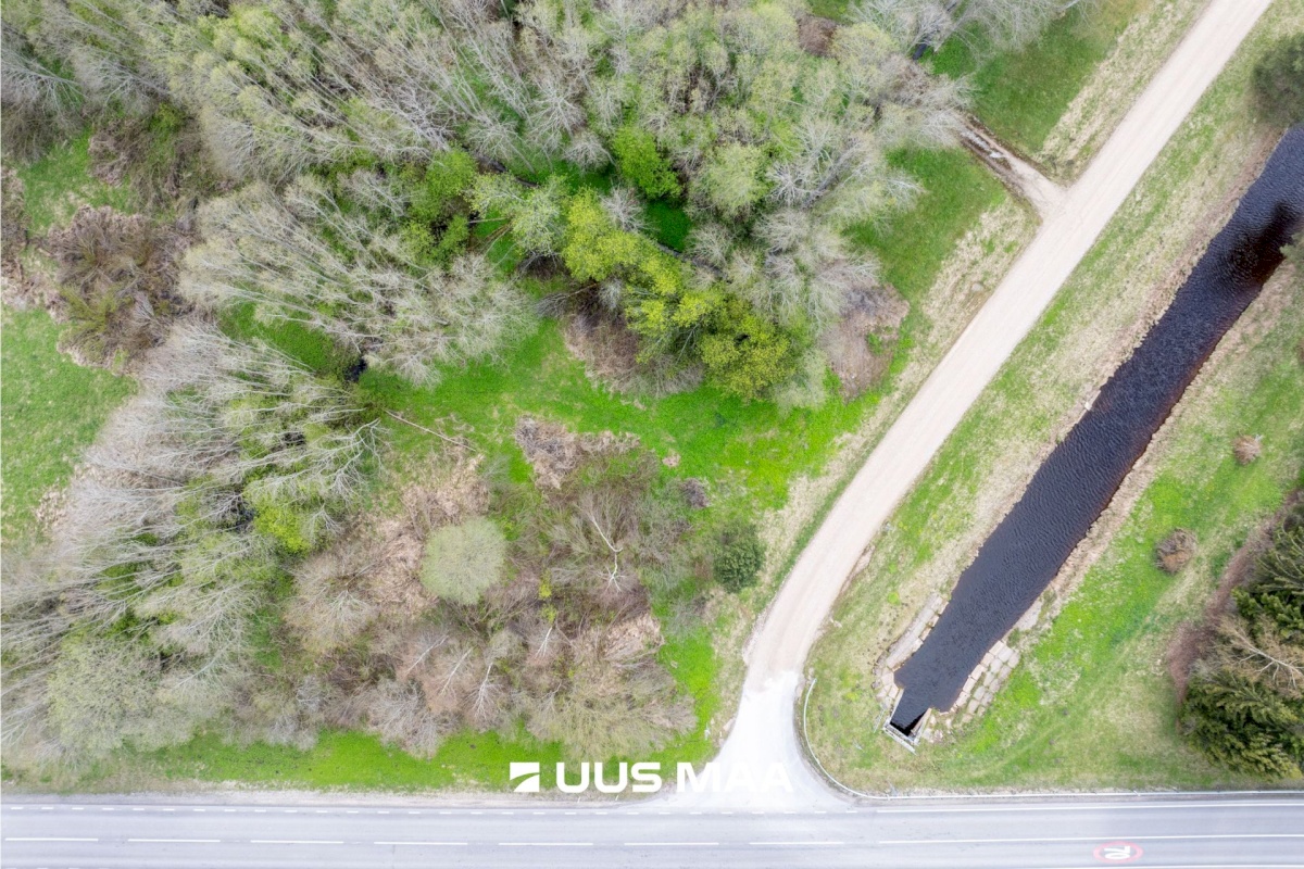 Anija vald, Kaunissaare küla, Nõmme