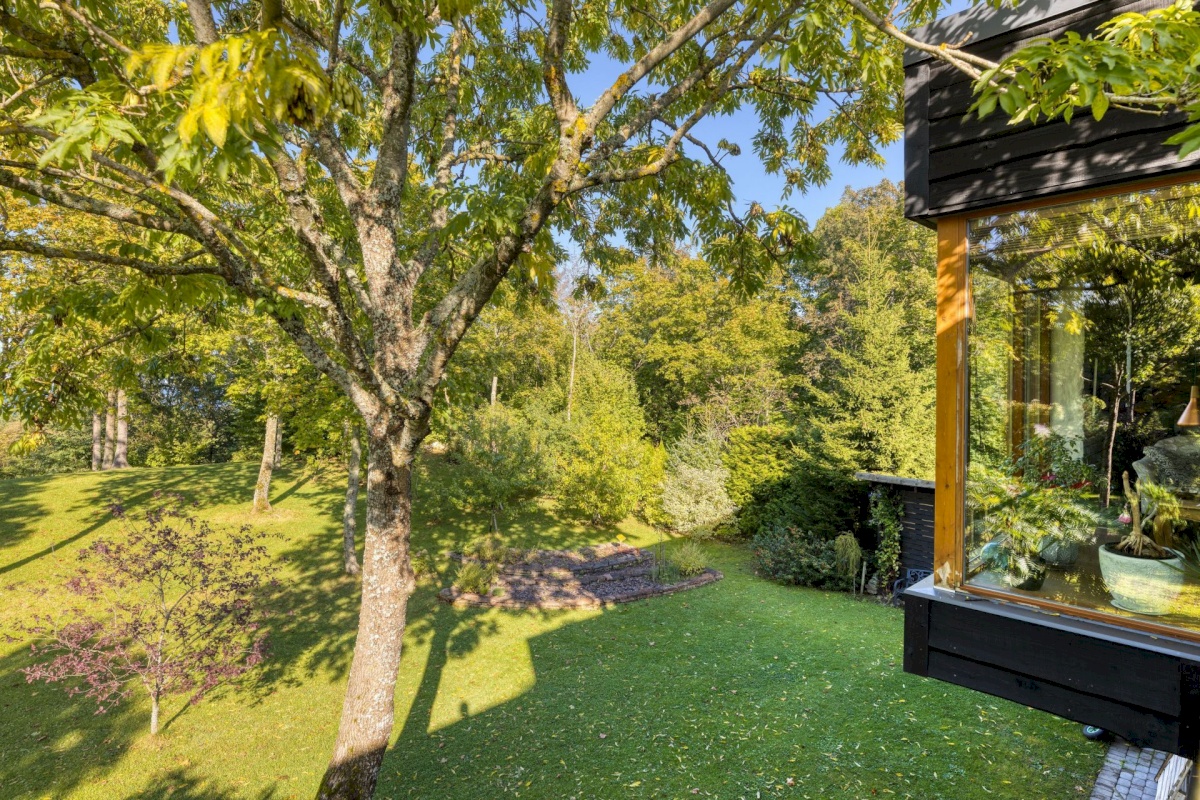 Harku vald, Muraste küla, Ladva 6