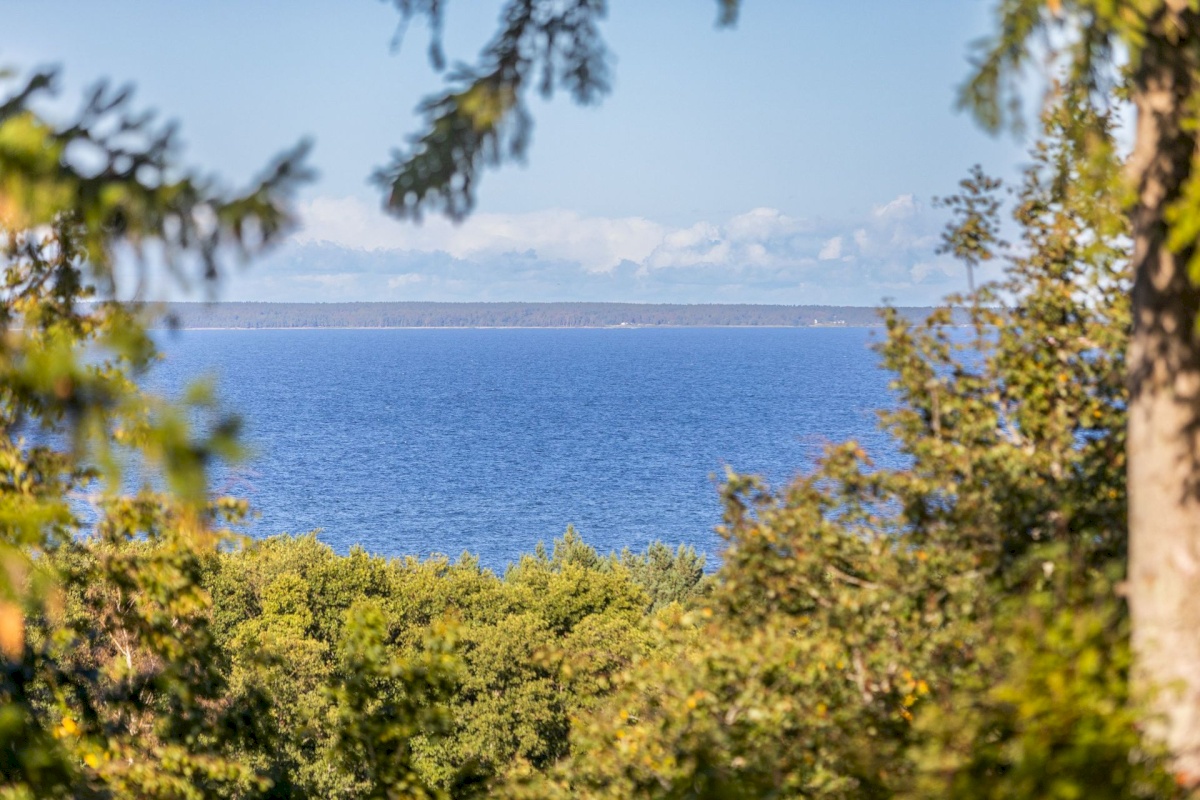 Harku vald, Muraste küla, Ladva 6