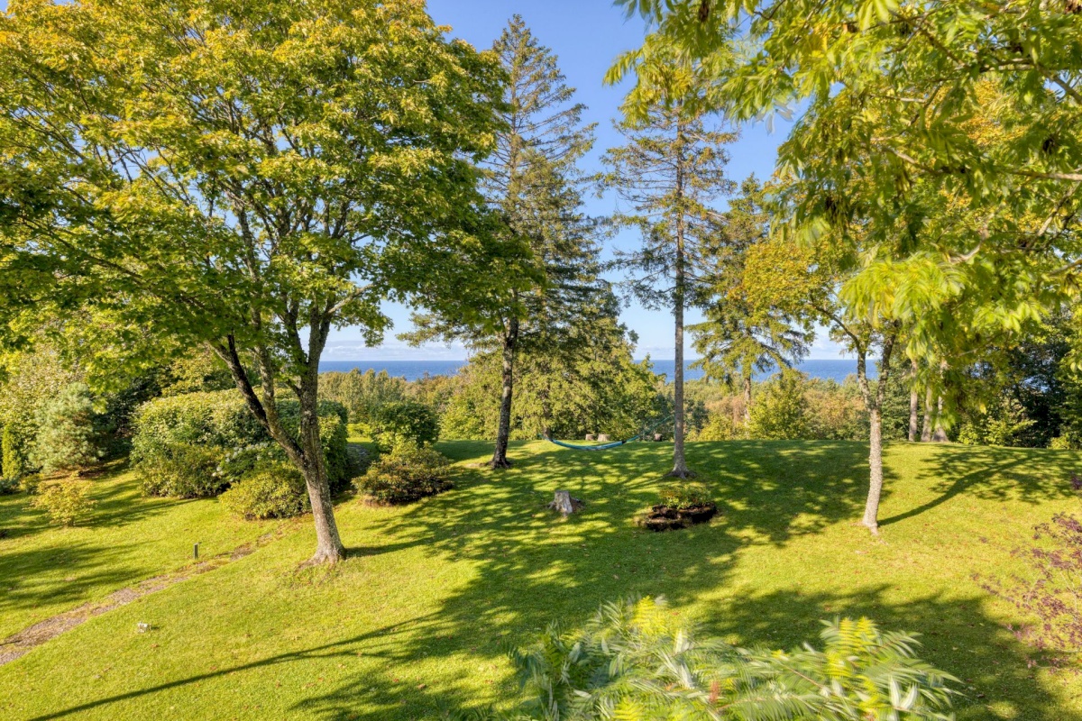 Harku vald, Muraste küla, Ladva 6