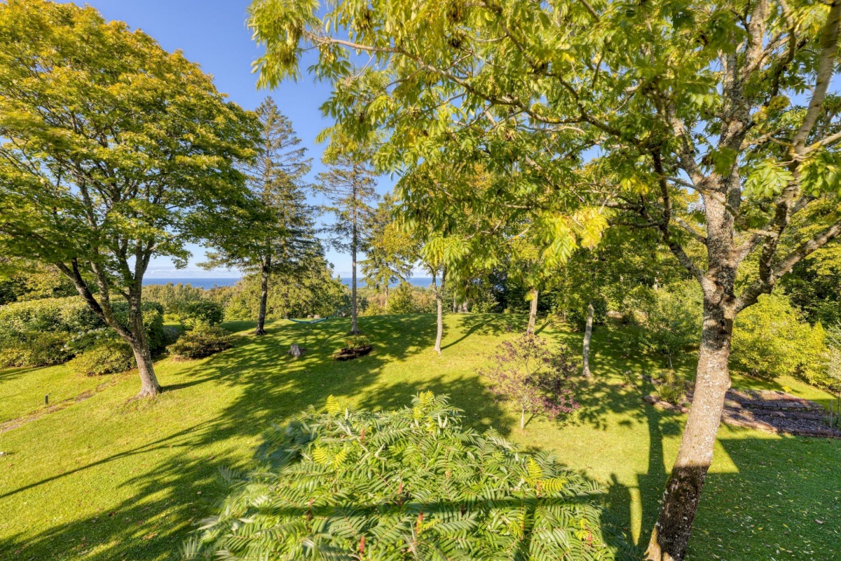 Harku vald, Muraste küla, Ladva 6