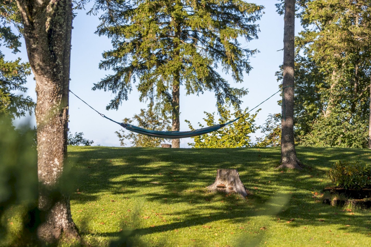 Harku vald, Muraste küla, Ladva 6