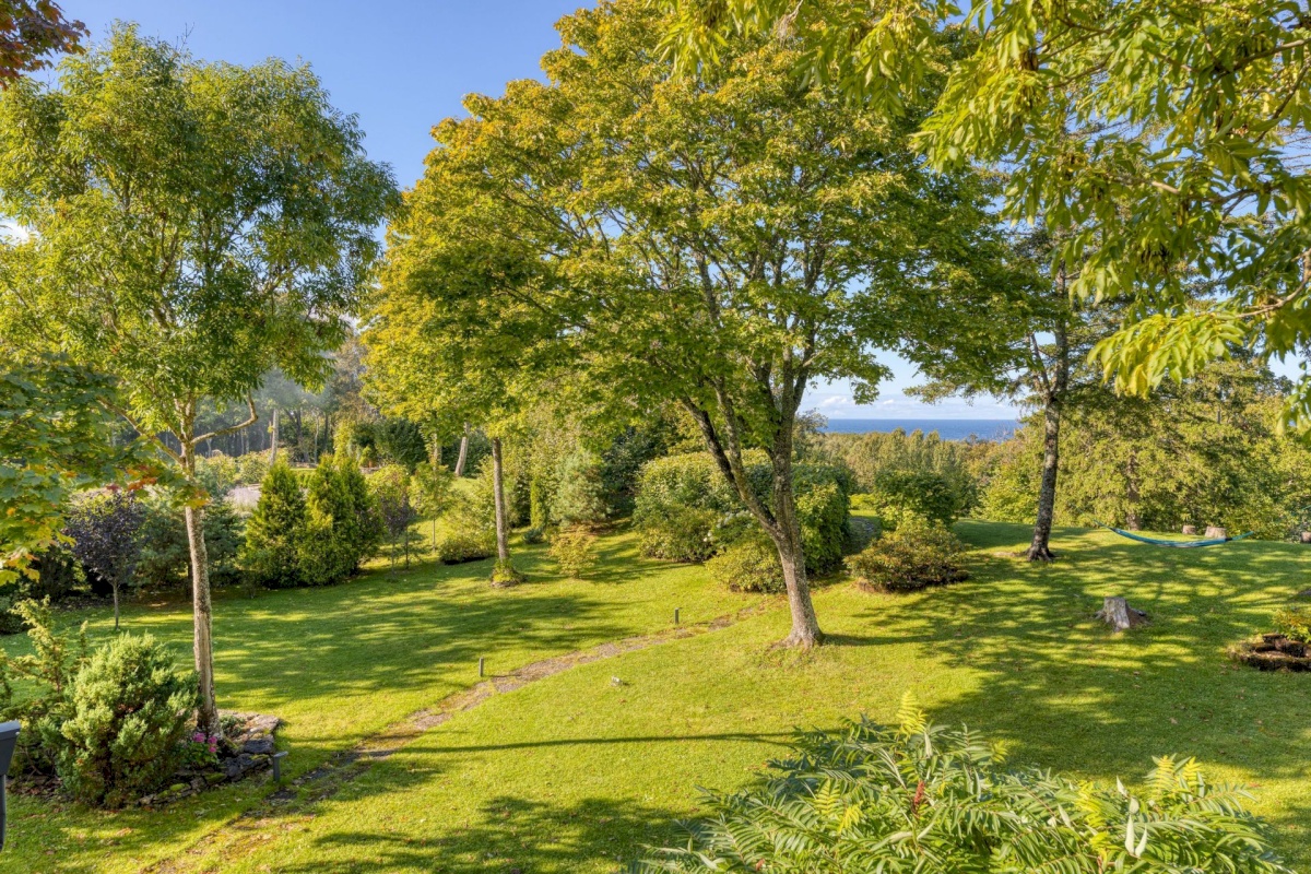 Harku vald, Muraste küla, Ladva 6