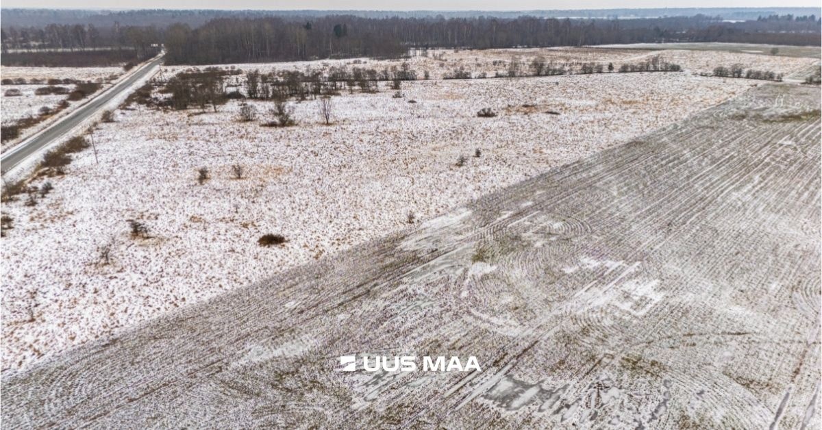 Rae vald, Suuresta küla, Vanatammi tee 16