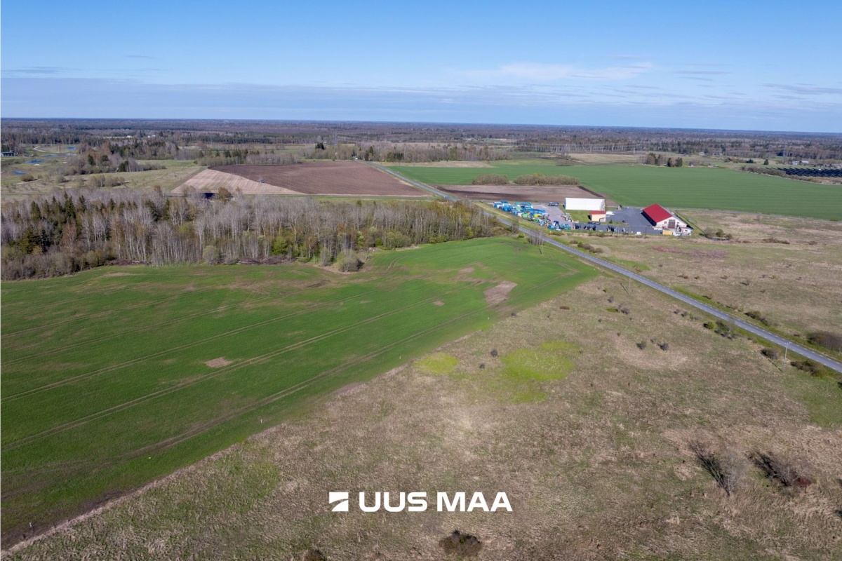Rae vald, Suuresta küla, Vanatammi tee 16
