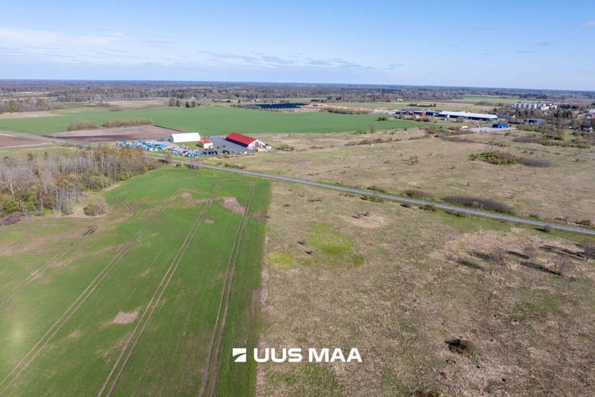 Rae vald, Suuresta küla, Vanatammi tee 16
