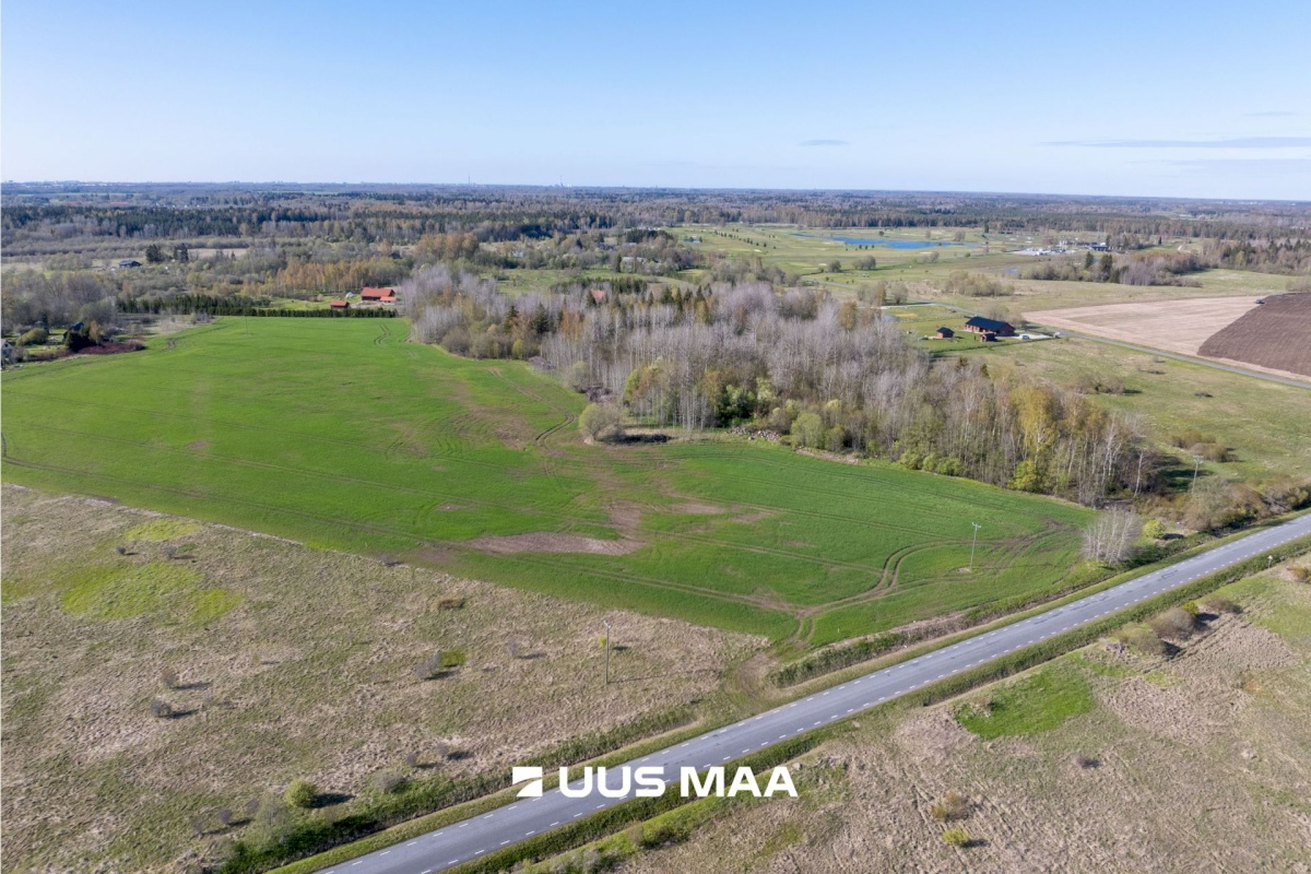 Rae vald, Suuresta küla, Vanatammi tee 16