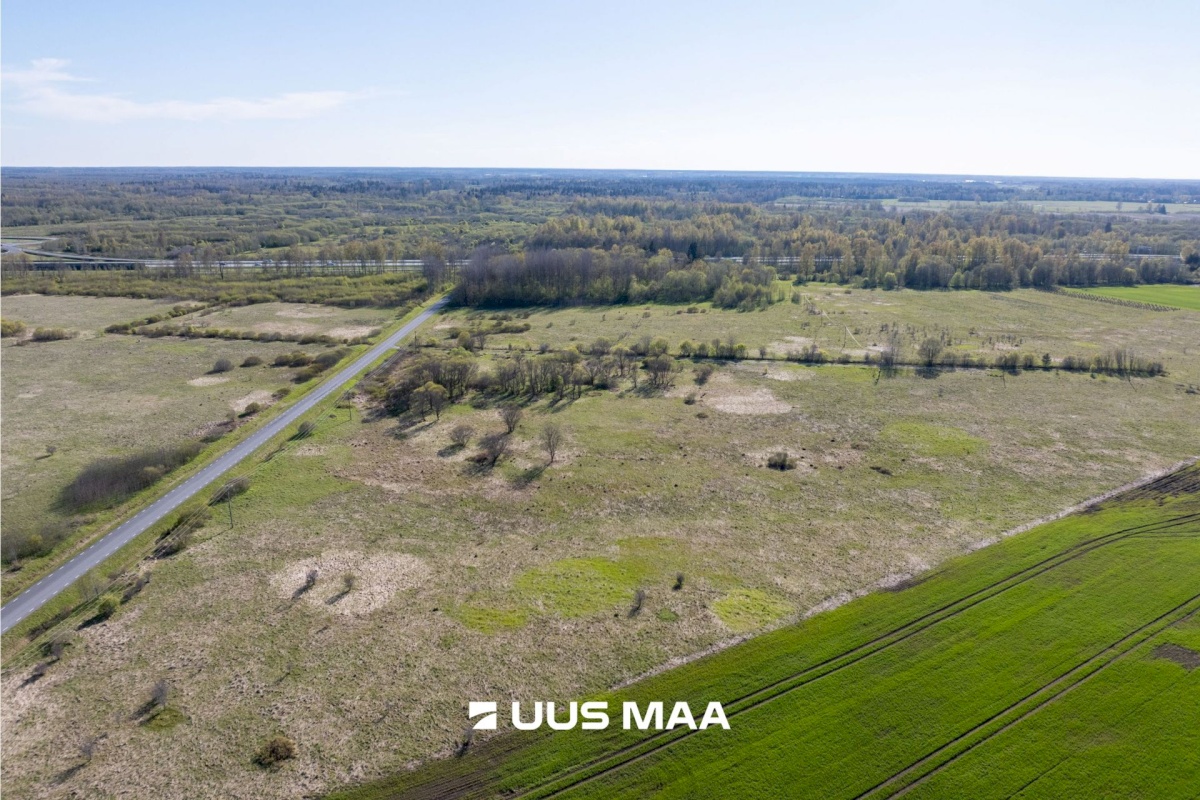 Rae vald, Suuresta küla, Vanatammi tee 16
