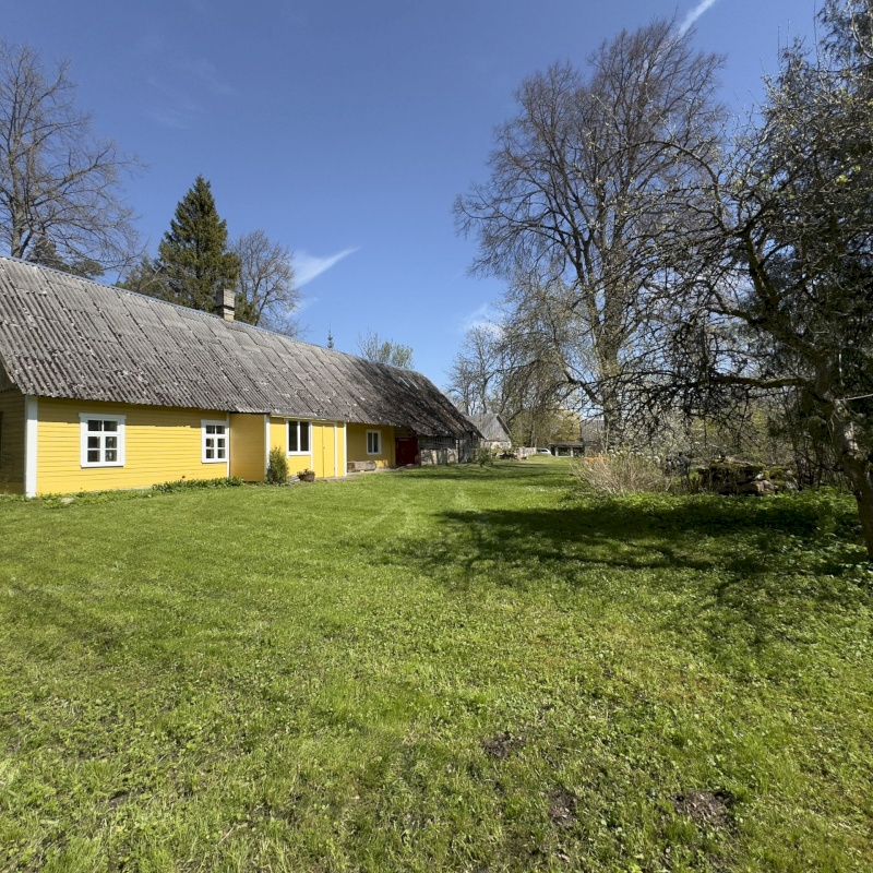 Muhu vald, Viira küla, Lauritse