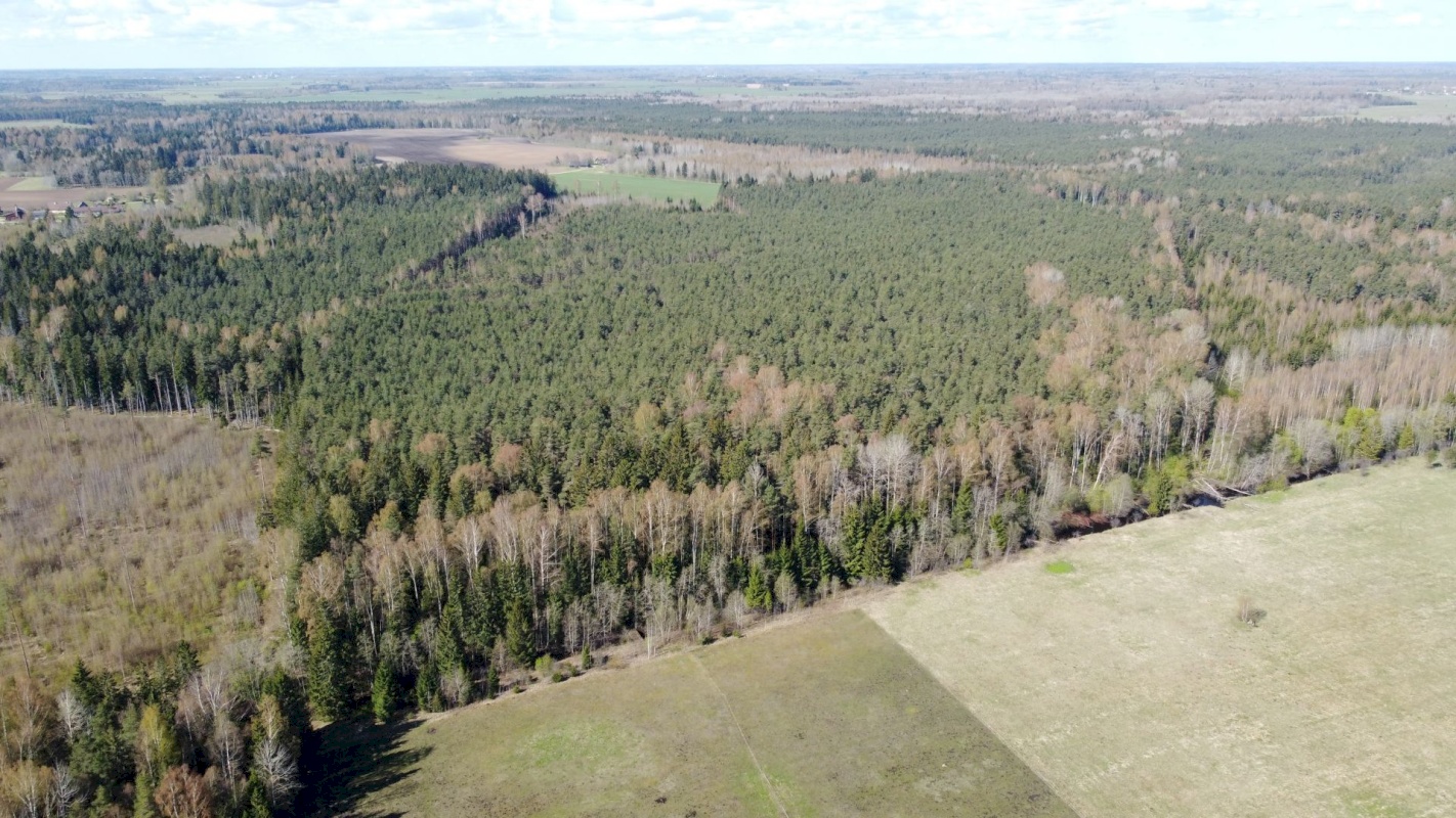 Haljala vald, Lihulõpe küla, Sooniku